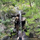 양평폭포펜션 | 양평 계곡 펜션 추천 독채 폭포펜션 솔직후기