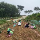 깊은샘유치원 이미지