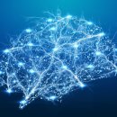 버드내초교 이미지