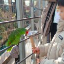 249-운정3-249 | 경주 실내 아이랑 갈만한 곳 버드파크 동물원 먹이주기체험 할인 예매링크 포함