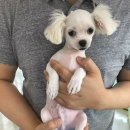 스타멍스 이미지