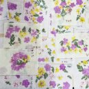 A+신동시니어복지센터 이미지