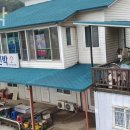 도우민박 이미지