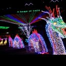 보성 보광택시 이미지