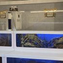 프렌즈 당구장 | 속초 '소노펠리체 델피노' 발품 후기 아이들과 오기 좋은 속초 리조트