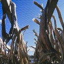 역사 속 음식이야기 이미지