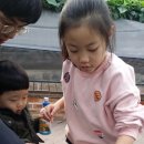 아산굼벵이