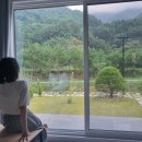 스테이 소안 이미지