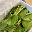 두루미 농원 이미지