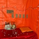 단독 dandog 이미지