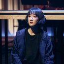 개와고양이 이미지