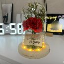 어버이날카네이션 특별한 선물 추천, 더라임코리아 DIY 카네이션무드등