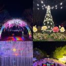 빛의 숲 이미지