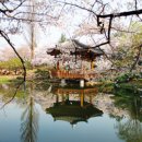 실감 미디어 아트 체험전 〈The 경주 : 경주연대기〉 이미지