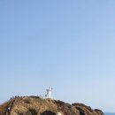 코지아지 이미지