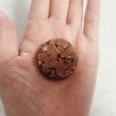 디비유통 | 《고디바 크런치 초콜릿》 후기 🤩 | 코스트코 초콜릿 후기 | 크런치 초콜릿 리뷰 | 코스트코 간식 추천...