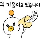 흰바위로 이미지