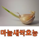 (주)초록원 이미지