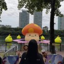 꾸륵 | 파도야 파도야 어쩌란말이냐