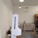 마졸렌