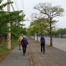 축산농협미래부연합사료 이미지
