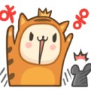 수피아사진관