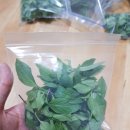 노다지유통 이미지