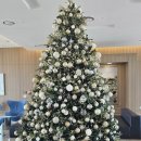 삼성중공업 거제호텔 수영장 이미지