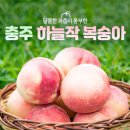 충주시 로컬푸드 직매장 충주씨샵 이미지