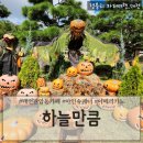 5800 | 대전판암동카페 대전대형카페추천 대전할로윈데이 한옥뷰카페 '하늘만큼'