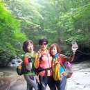 용수꼴