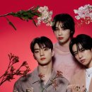 더뷰티(The Beauty) 이미지