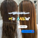 강릉 미용실 | 강릉교동 미용실 | 강릉 어뉴 소연디자이너 아윤채클리닉 후기