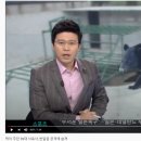 호랑이와 반달곰 이미지