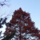 양운초등학교 앞 이미지