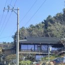 버치우드 | 화성 베이커리 카페 버치 카페 방문 후기!