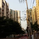 강서구-77 이미지