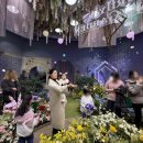 나비공간 | 에버랜드 나비정원 후기 | 아기랑 가기 좋은 힐링 코스