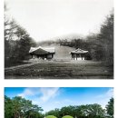 순원 | 조선 순조와 순원왕후의 쉼터, 헌인릉