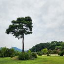 향촌마을 | 함양 남계서원 청계서원 탐방 | 유네스코 세계문화유산 한국의 서원