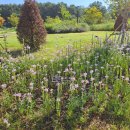 탄현공원 이미지