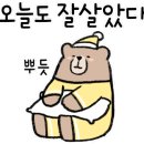 통영쿠킹클래스 이미지