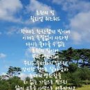 워즈워드의 명시(名詩) (4) 초원의 빛 이미지