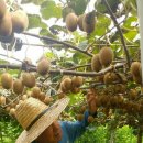 청해농장 이미지