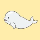 원광대학교 보건환경대학원 | [대학원생 특집] 대학원 LIFE 3편, 진한빛 한의사