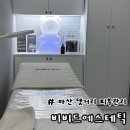 비비드에스테틱