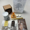 소이초등학교 | [상품리뷰] 보타니컬 레메디 스타터키트 내돈내산으로 사본 후기 (ft. 두가지 향, 버너vs캔들워머 비교)