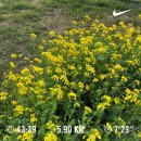 장승포게스트하우스 | 제가 천국도에 같이 가고싶은 사람은요? 바로 저요