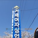 거제여자상업고등학교 이미지