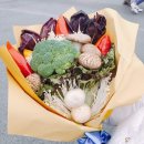 바디트레인 이미지